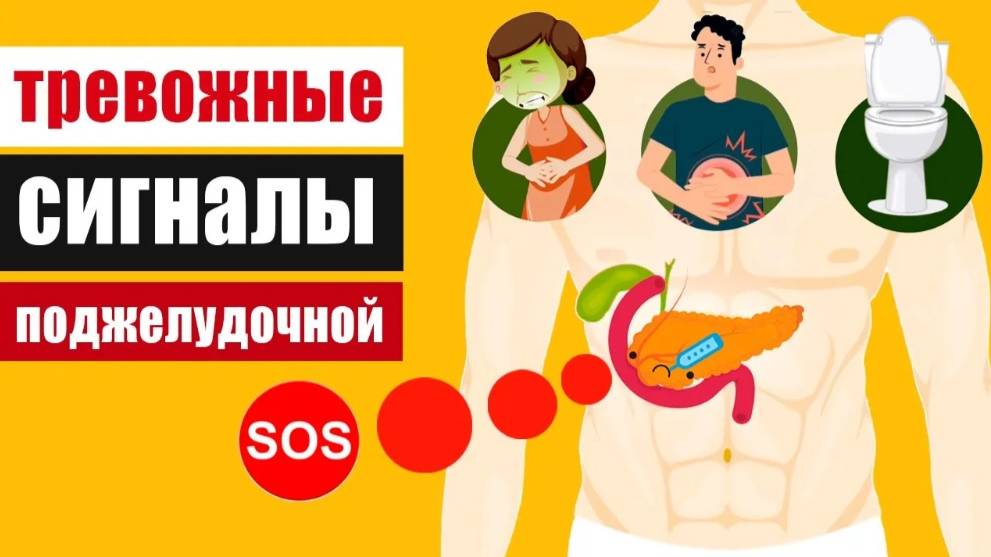 Сигналы SOS от поджелудочной железы или первые признаки панкреатита смотреть онлайн