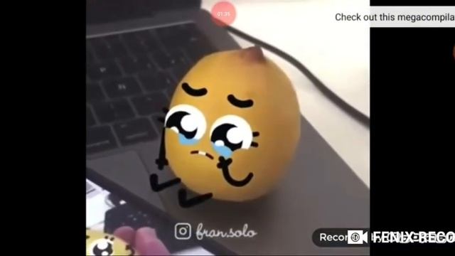 Doodles crying compliation смотреть онлайн