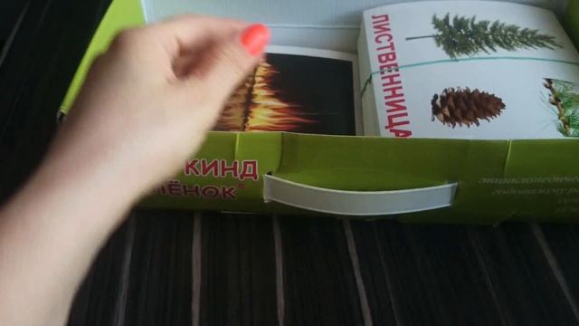 Вундеркинг с пеленок. Мегачемодан. Развитие ребёнка. смотреть онлайн