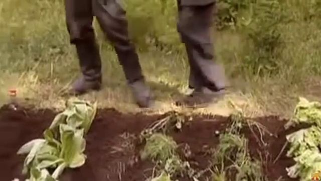 Ни какой химии,только натуральное. смотреть онлайн