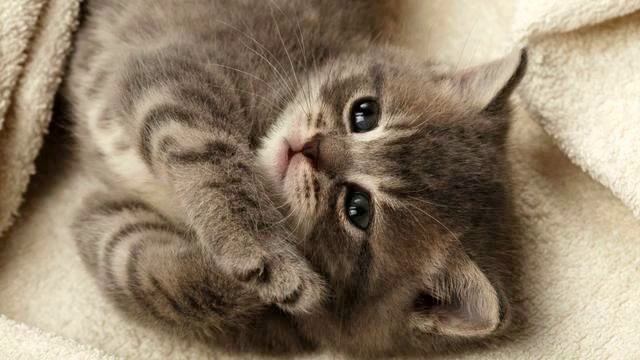 Где мое сердце? Просто круть! Слушать! смотреть онлайн