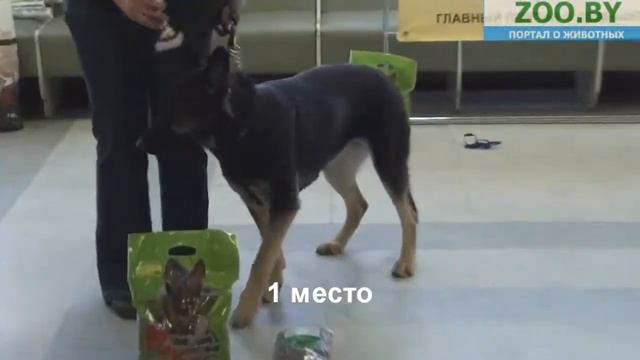 Вне классификации смотреть онлайн