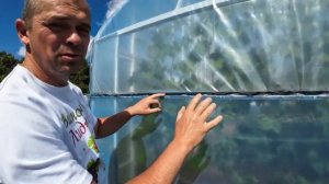 Проветривание в теплице. Боковое проветривание - 24м.