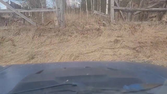 Первые тёплые деньки. Находки радуют. смотреть онлайн