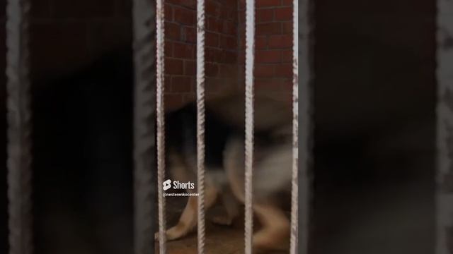 Из фильма «Русские• XXI век».34 смотреть онлайн