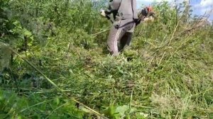 показал, как косит бензокосилка, рысь  России 52 кубика