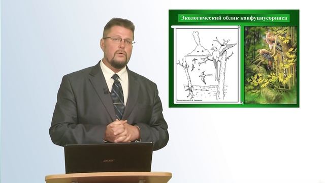 Зиновьев А.В. Морфология в помощь пониманию экологии вымерших видов птиц смотреть онлайн