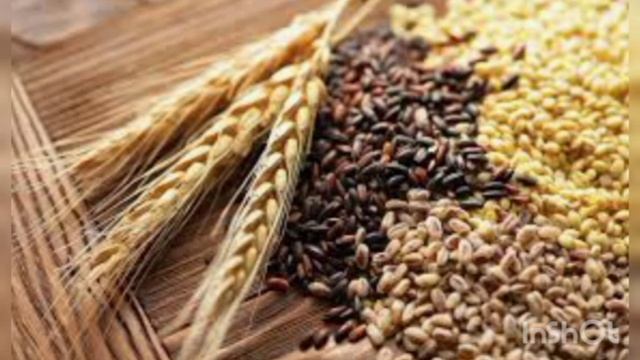 Un Turlari, Navlari Va Sifat Ko'rsatkichlari Meyorlari