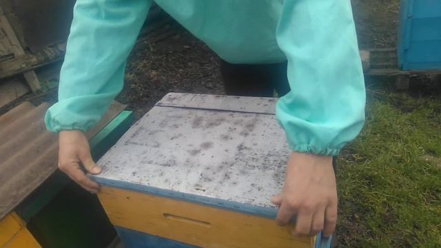 Зимовка пчел на улице 2019. Устраняем влагу.