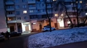 5 декабря 2024. Трёхметровый пенёк)