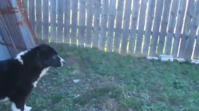 АК-УЛА ФАХРИЯ смотреть онлайн