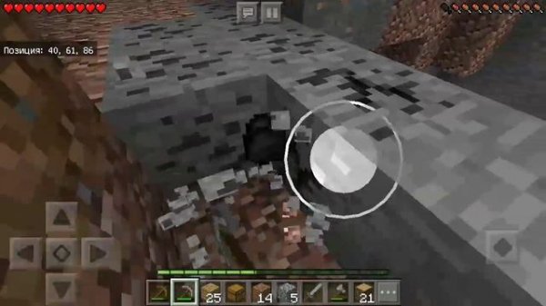 Пауки пауки вокруг пауки [Выживание #1]