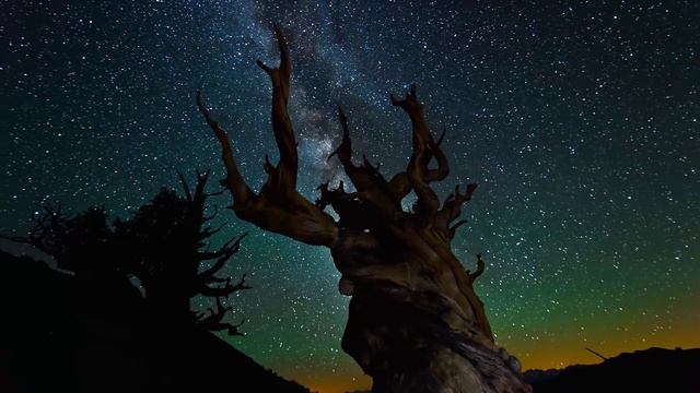 🎼 RR - Psychedelic Visions #2 [ Psybient / Psytrance / Psychill Music-Video Mix 4K ]