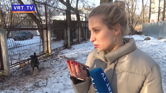 Вместо сердца камень. Безответственный хозяин бросил собаку на произвол судьбы. смотреть онлайн