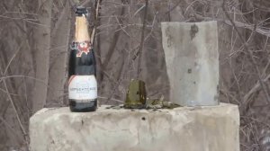 Топ 10 Лучших Пневматических Винтовок