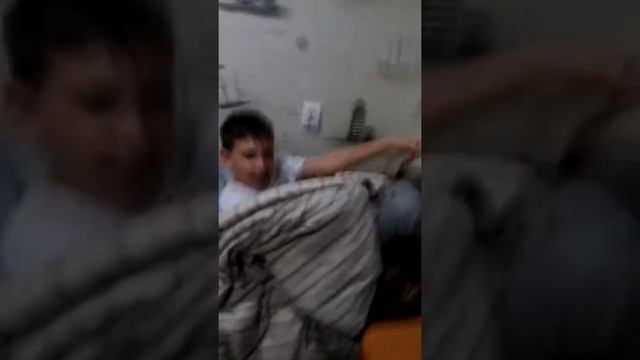 Это быстрая собака очень быстрая смотреть онлайн