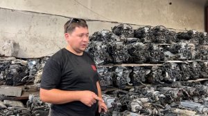 Охотник за 2az-fe. Сколько нужно перебрать хлама, чтобы привезти в Россию 50 двигателей?!