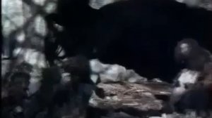 История последнего неандертальца 2