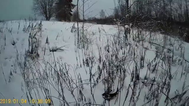 Кроухантинг с дробовиком смотреть онлайн