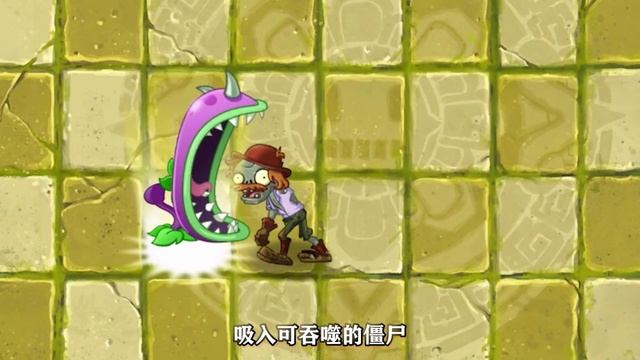 Pvz2：技能相似的植物和殭屍，兩者區別有多大？【解说小康】 смотреть онлайн