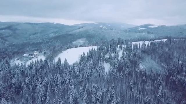 Мария Дейнс - Вот в чем суть Блюза