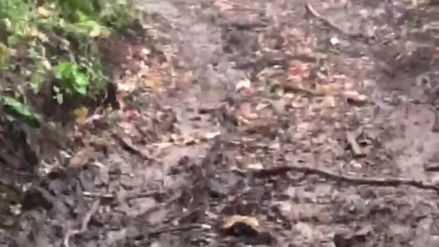 Нива Легенд по горам Чечни