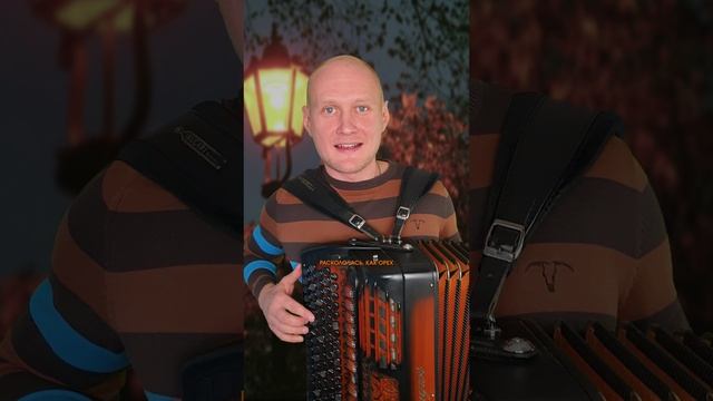 Когда качаются фонарики ночные / Баянист Евгений Попов