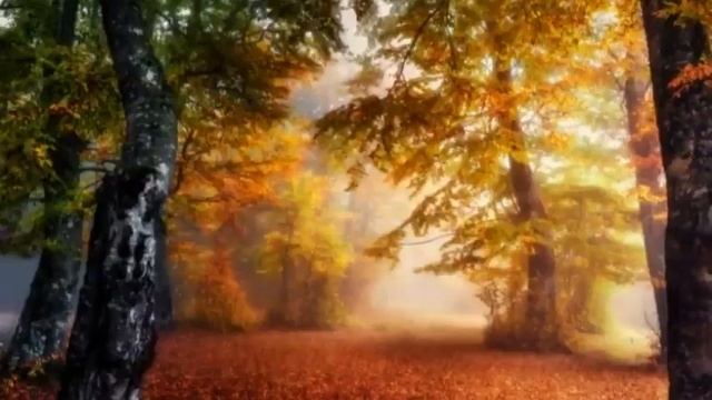 Жизнь моя мелодия - Дмитрий Хворостовский смотреть онлайн