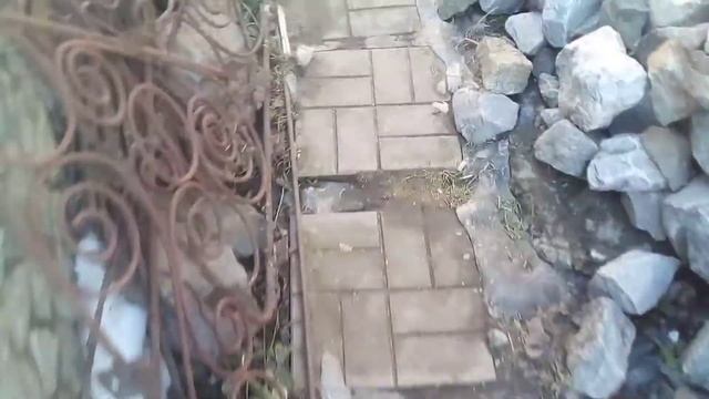 электро ошейник с китая на куцхаре смотреть онлайн