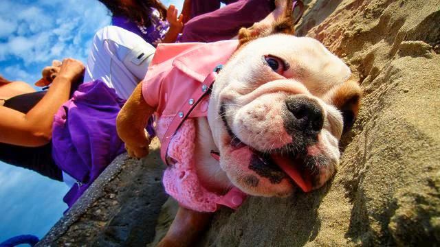 Новинка музыка онлайн. Классная! Русская Селин Дион! смотреть онлайн