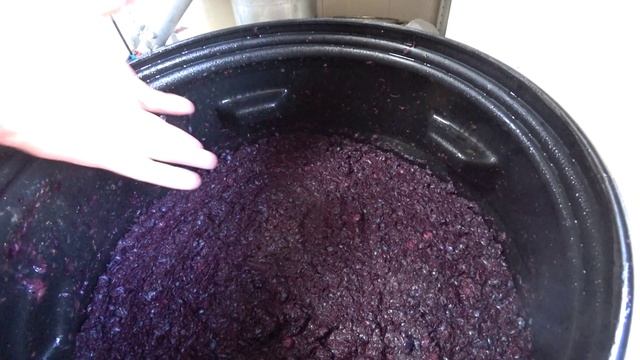 Самогон из ГОЛУБИКИ смотреть онлайн