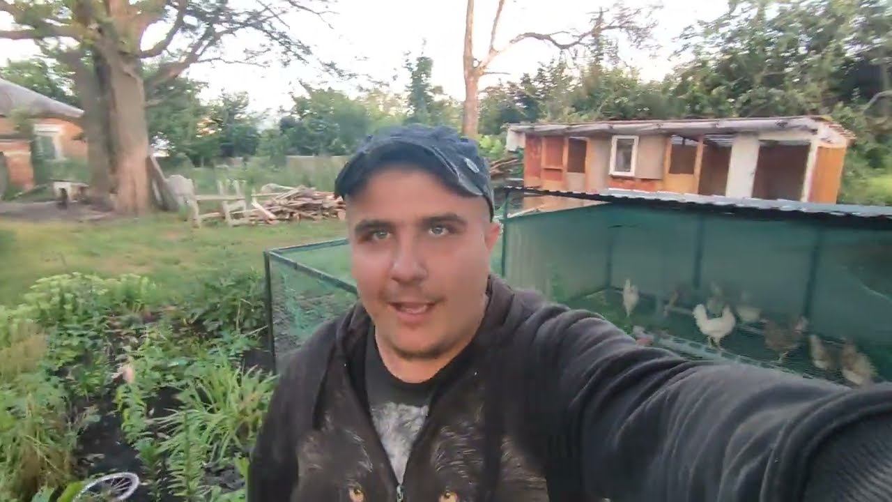 НОВАЯ ЖИВНОСТЬ В ХОЗЯЙСТВЕ)))) Куры несушки и сарай для них смотреть онлайн