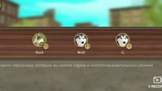Акки в дог сим!✨🐨 смотреть онлайн