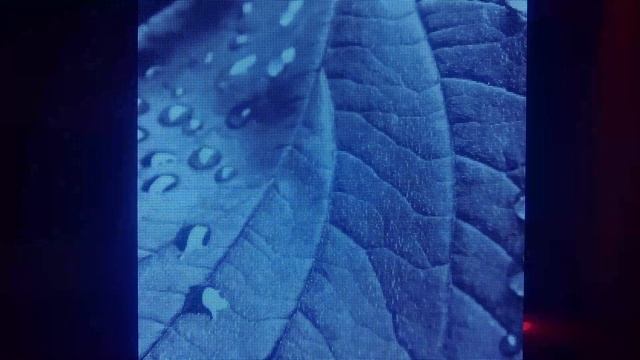 Showreel LOGINOV смотреть онлайн