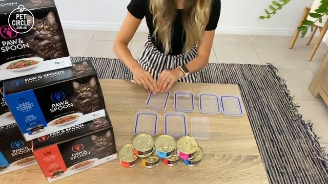 Paw & Spoon Cat Food: Unboxing & Review with Dr. Carla (& Pippin!) смотреть онлайн