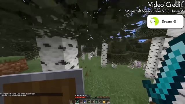 Speedrunner VS Hunter Tips EVEN DREAM Could Use!