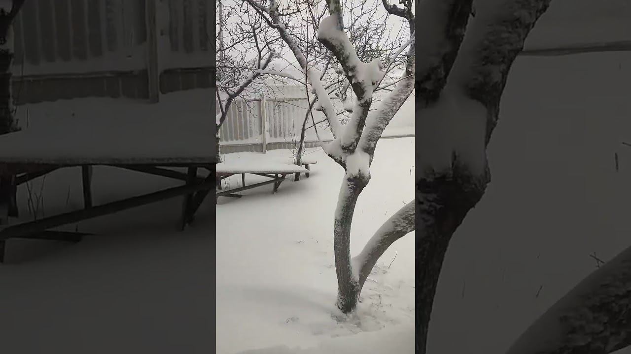 хотел огород заборонить))) смотреть онлайн