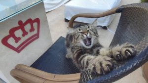 Хочу домой, последнее утро на пляже Club Hotel Sera, Antalya 18.06.2024