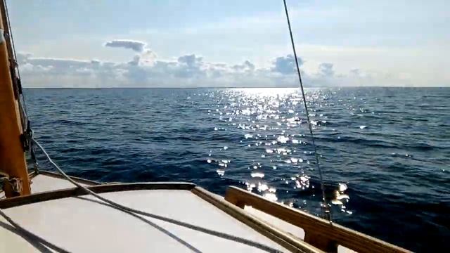 Picofolkboat On The Autopilot