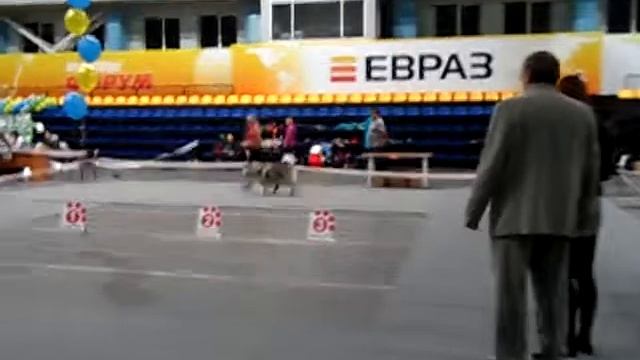 изображения 1120 смотреть онлайн