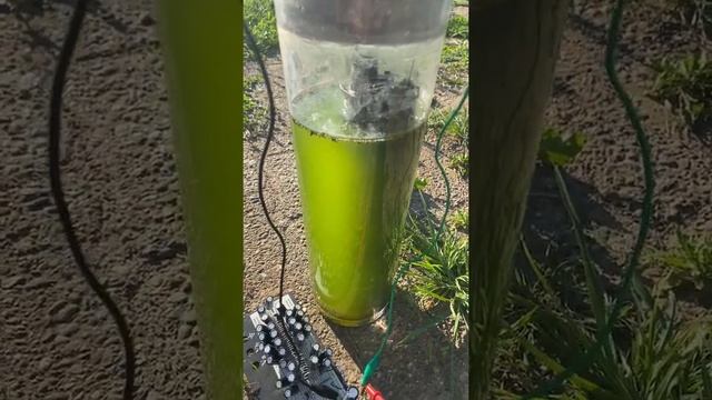 Algen cell doet het :) #freepower смотреть онлайн