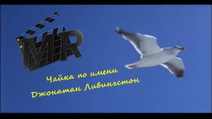 Короткометражный фильм «Чайка по имени Джонатан Ливингстон»
