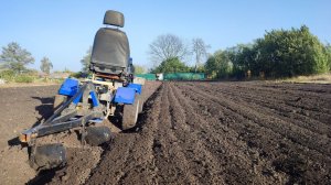 Чем отличается чернозем?