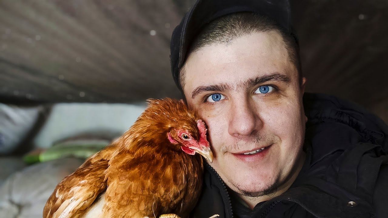 КУРЫ НЕСУШКИ ЗИМОЙ // Курочки радуют и в январе! смотреть онлайн