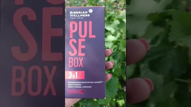 Высокое давление, холестерин, часто болит голова.‼️ Сибирское SIBERIAN WELLNESS. смотреть онлайн