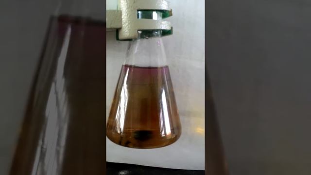 Một thí nghiệm vui смотреть онлайн