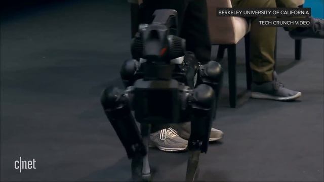Boston Dynamics demonstrates its SpotMini robot dog (CNET News) смотреть онлайн
