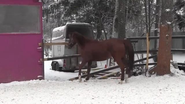 Реплика и обойма смотреть онлайн