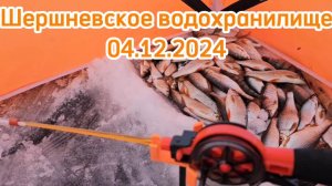 Шершни Сосновка Рыбалка Челябинская область Ловля чебака