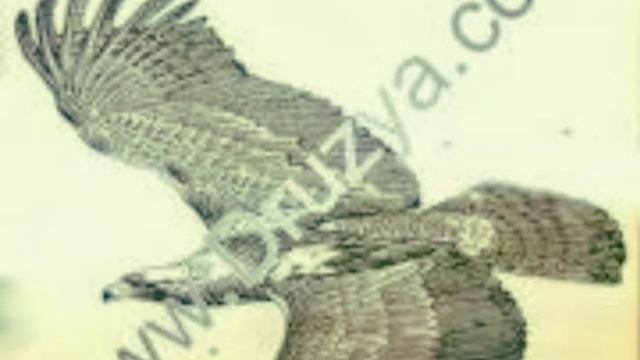 ГР  ШАХНАБАТ   1995г   шехьмир   диде